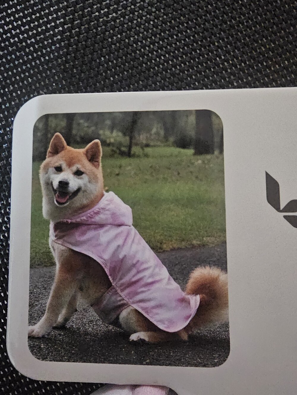 Nwt Dog Rain Jacket